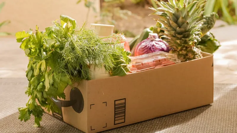 Bio-Abo-Box Vergleich: etepetete, Ökokiste & Co