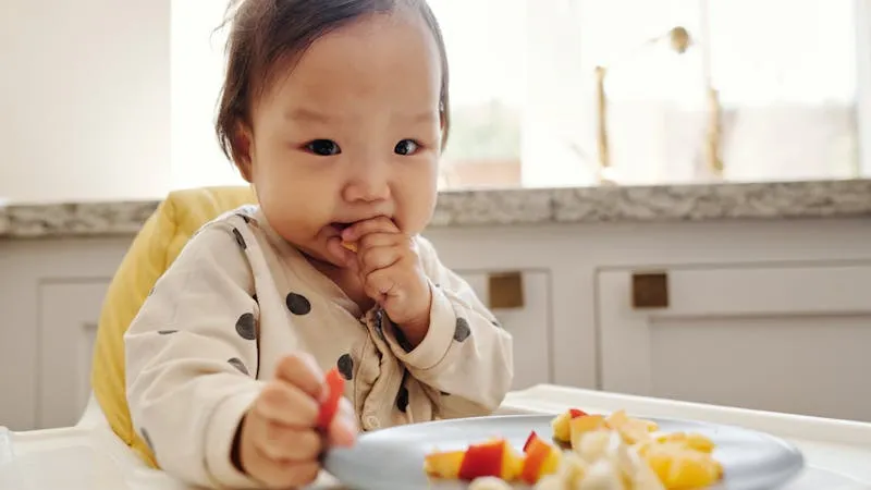 Bio-Babynahrung: Was Eltern wissen müssen
