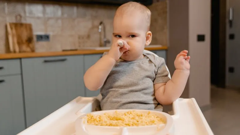 Bio-Babybrei: 5 Marken im Vergleich