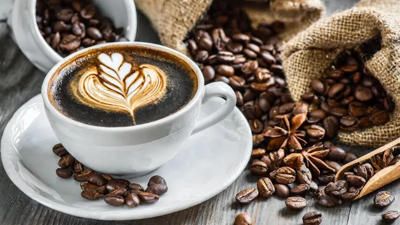 Bio-Kaffee Test: 5 Fair-Trade-Kaffees im Vergleich