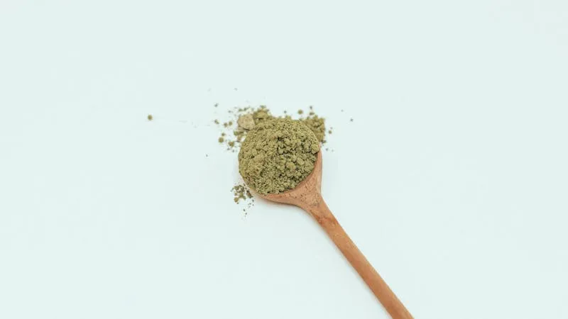 Bio-Matcha Pulver: 5 Sorten im Vergleich