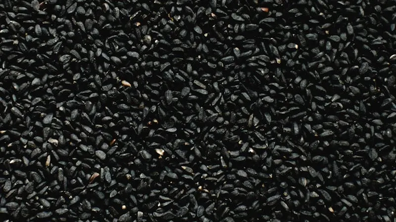 Bio-Schwarzkümmelöl: 5 Öle im Vergleich