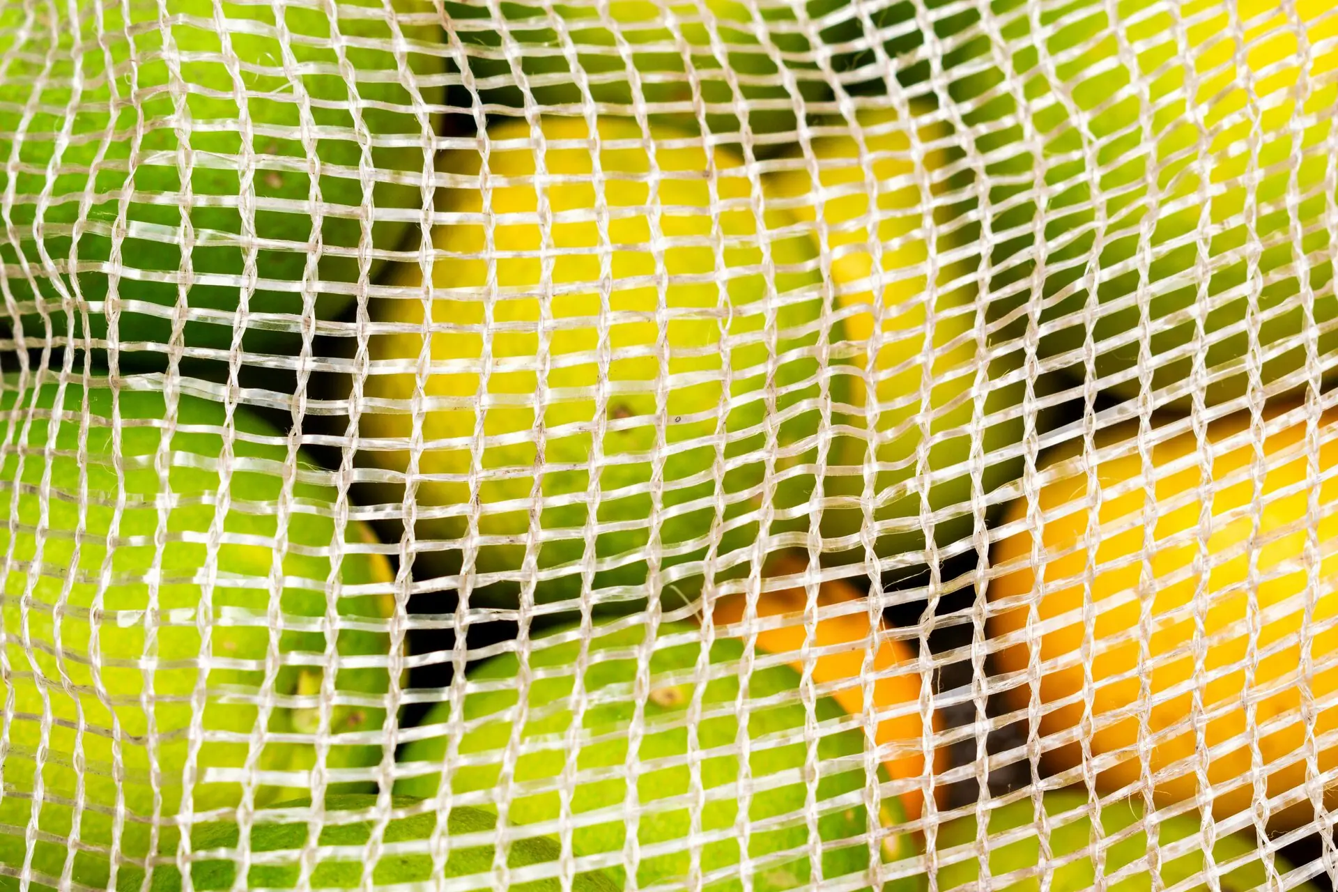 Mehrwegnetze für Obst und Gemuese: 5 Marken im Test 2026