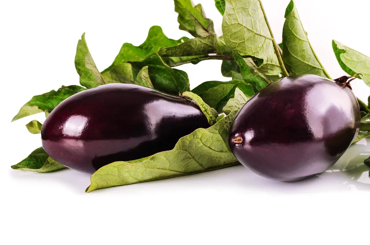 Aubergine: Bio-Anbau für die mediterrane Frucht anbauen