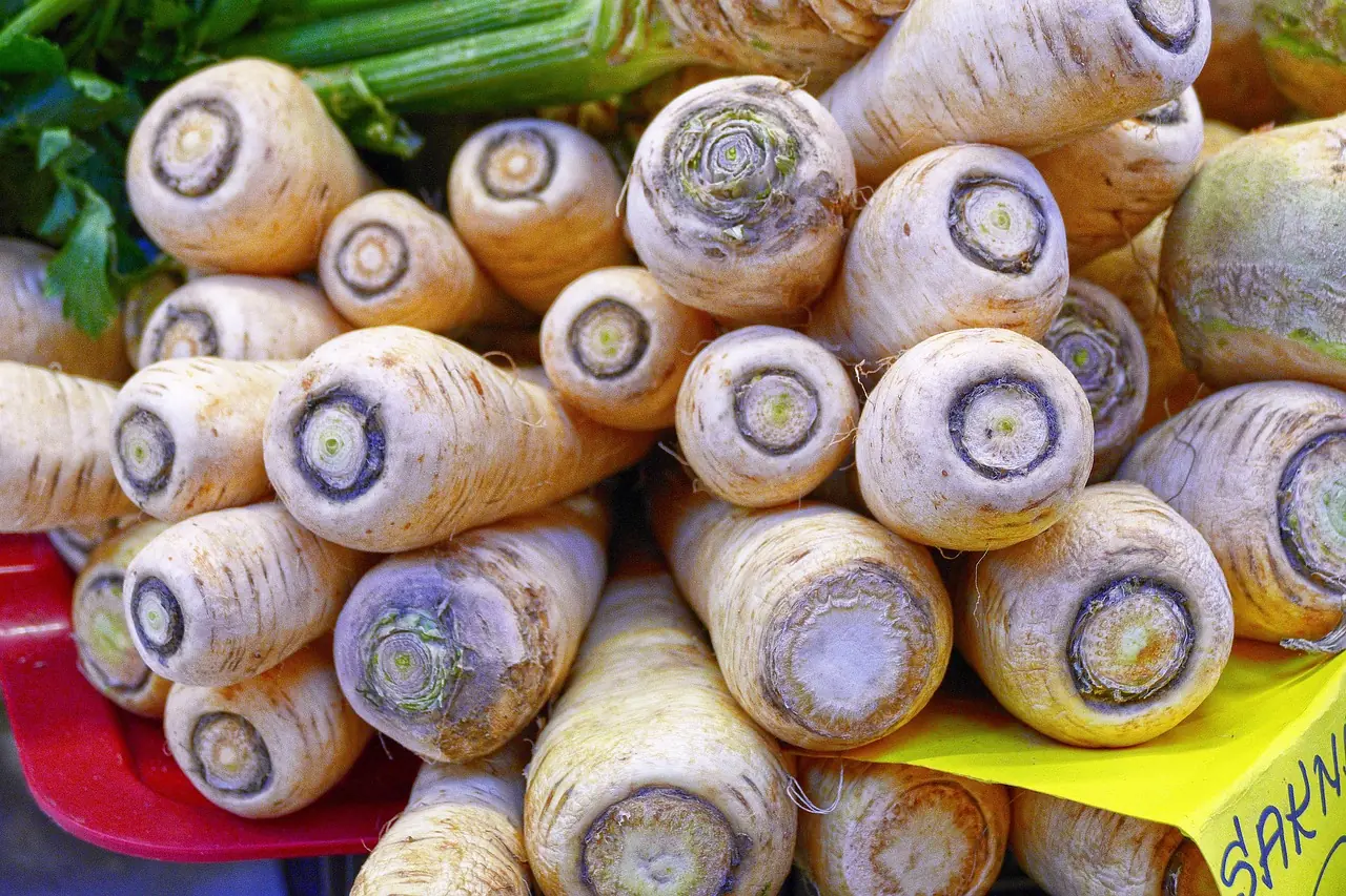 Pastinake: Bio-Anbau für die süß-würzige Wintergemüse