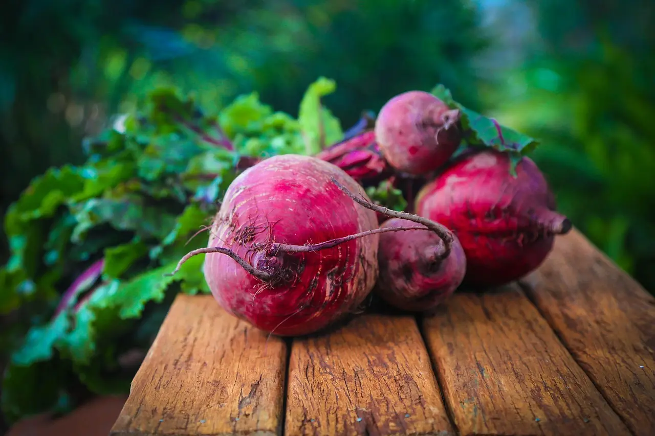 Rote Bete: Bio-Anbau für die Vitamin-Knolle