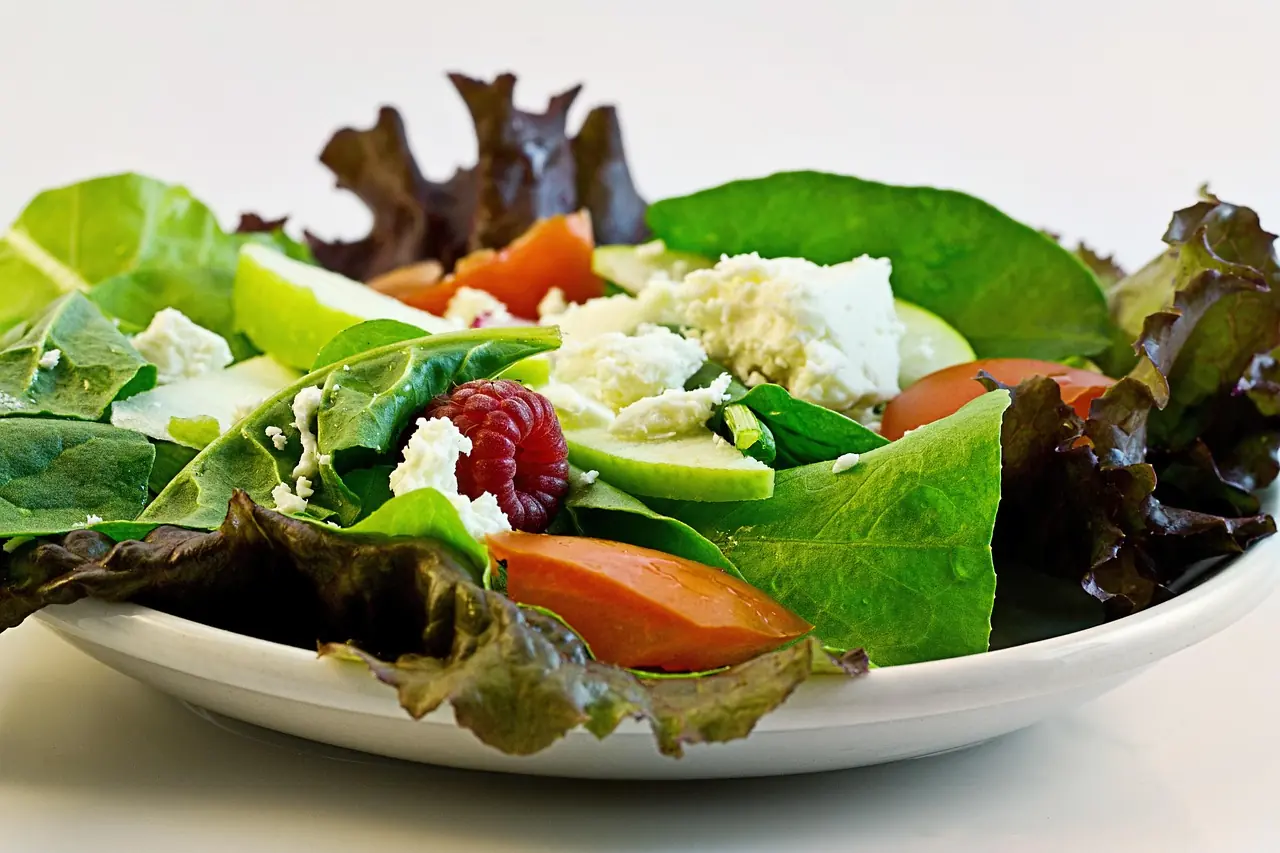Salat: Bio-Anbau für Pflück- und Schnitt-Sorten anbauen