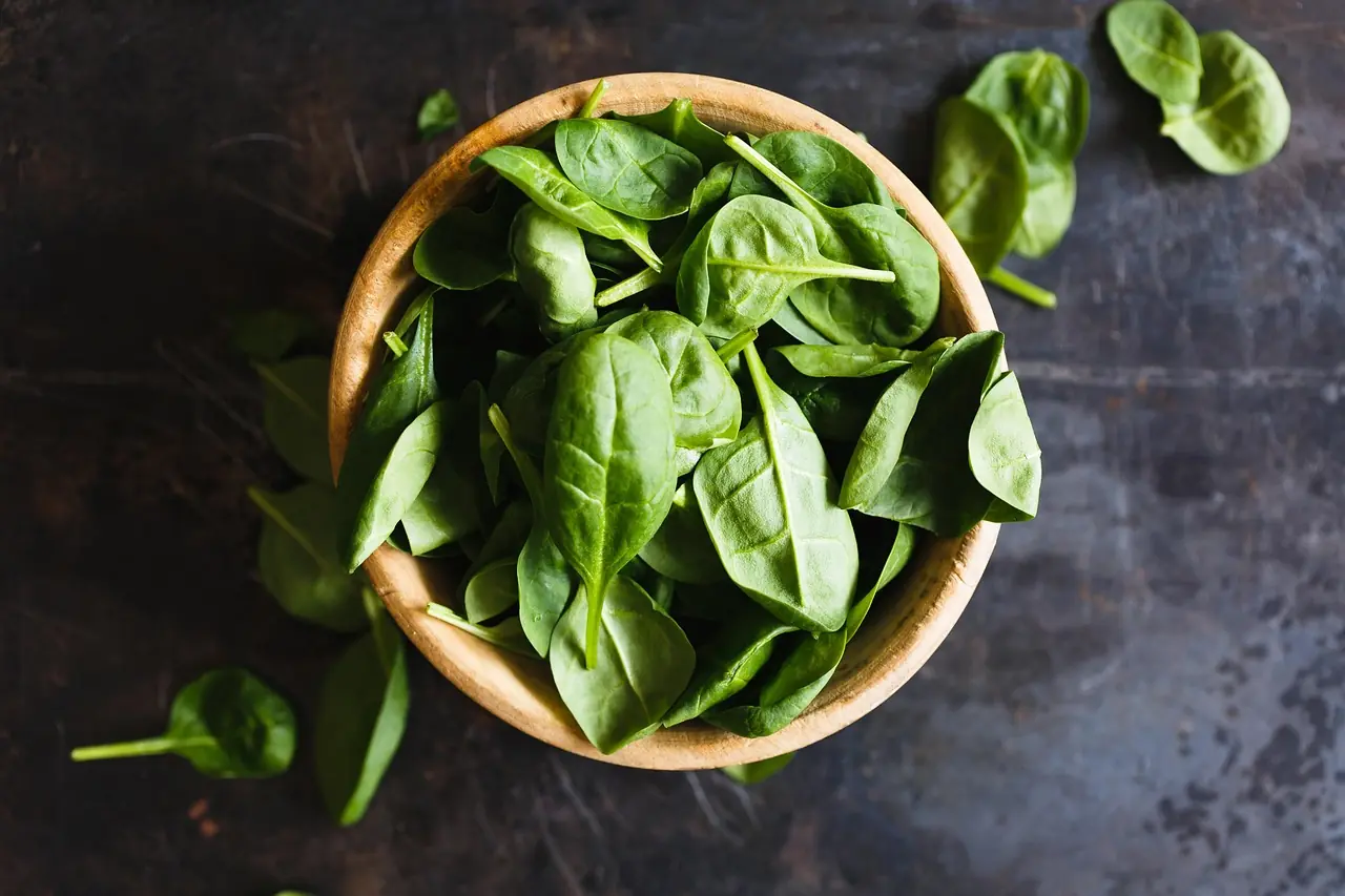 Spinat: Bio-Anbau für nährstoffreichen Frühlings- und Herbstsalat anbauen